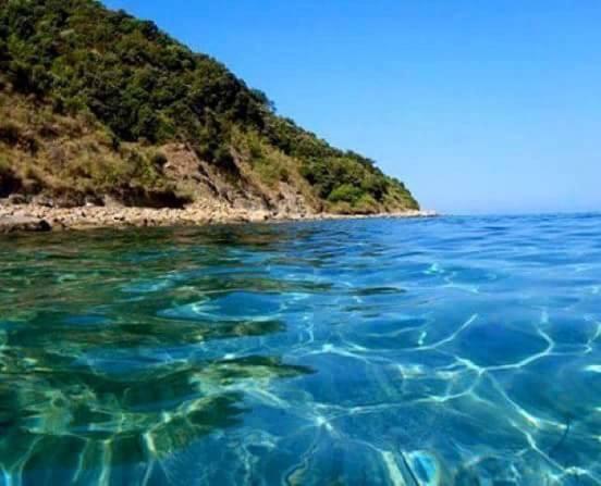 Bed and Breakfast La Collina Sul Mare Пальма-ди-Монтекьяро Экстерьер фото